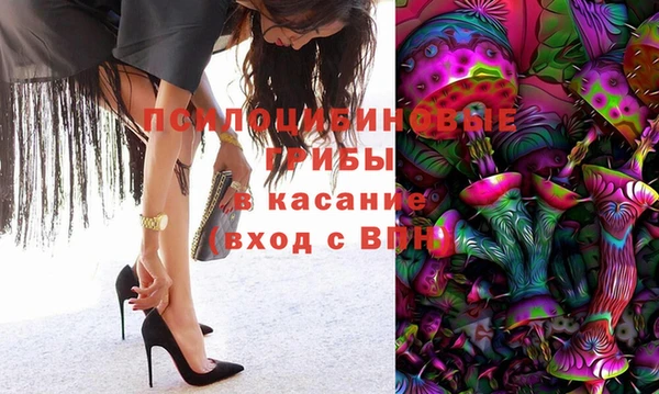 mdpv Краснослободск